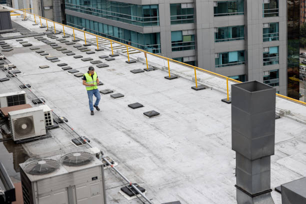 Best Roof Maintenance and Cleaning  in Sauk Centre, MN