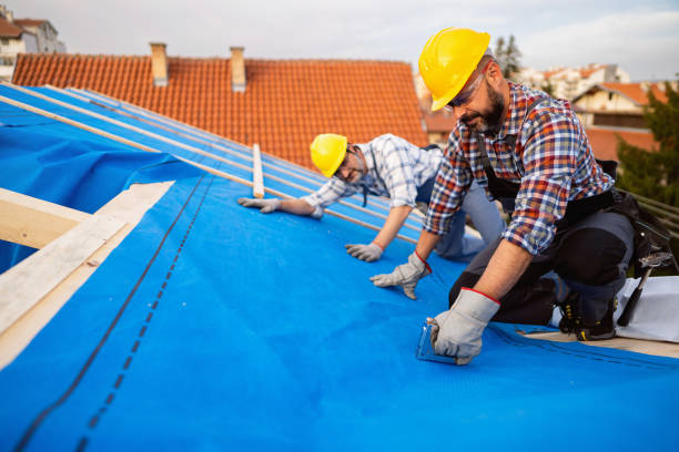 Best Roof Insulation Installation  in Sauk Centre, MN