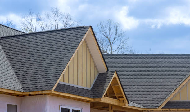 Best Roof Ventilation Installation  in Sauk Centre, MN