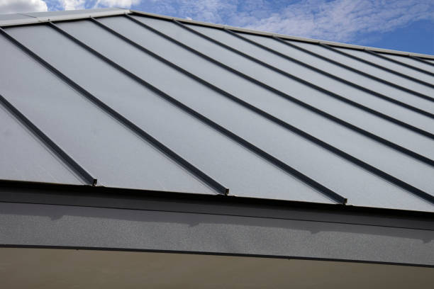 Best Sheet Metal Roofing  in Sauk Centre, MN